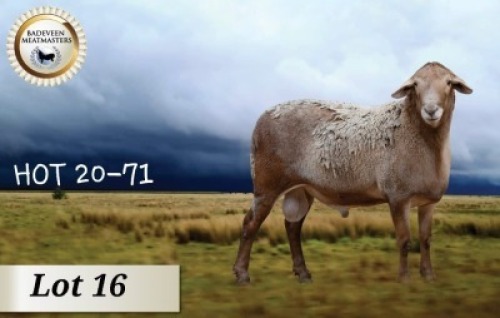 1X MEATMASTER RAM CB BADEVEEN