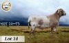 1X MEATMASTER RAM CB BADEVEEN