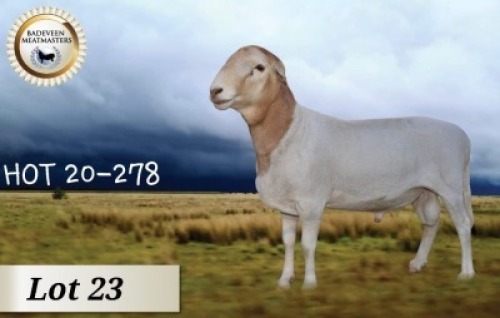 1X MEATMASTER RAM CB BADEVEEN