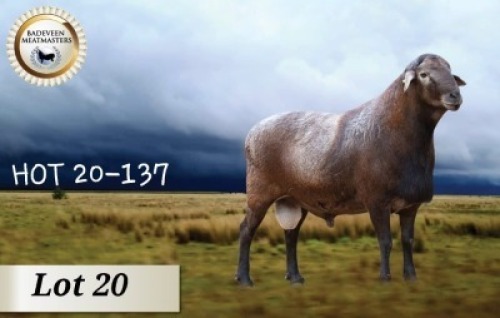 1X MEATMASTER RAM CB BADEVEEN