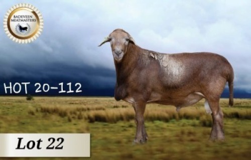 1X MEATMASTER RAM CB BADEVEEN