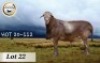 1X MEATMASTER RAM CB BADEVEEN