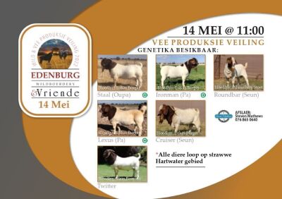 BOERBOKKE LOT 1-21