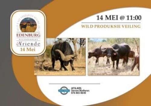 JAGPAKKETTE EN WILD LOT 22-60