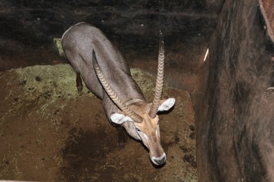 1X WATERBOK M:1 Matlabas Reserve