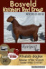 1X KALAHARI RED POTENTAIL STUD OOI/EWE RATELPOST