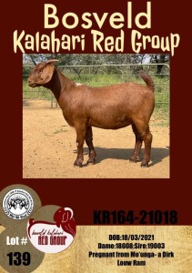 1X KALAHARI RED OOI/EWE FLOCK MYL 50