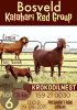 1X KALAHARI RED OOI/EWE FLOCK ON COLOUR KROKODILNEST