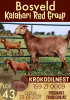 1X KALAHARI RED OOI/EWE FLOCK KROKODILNEST - 2