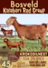 WITHDRAW - 1X KALAHARI RED OOI/EWE KROKODILNEST