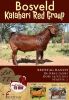 1X KALAHARI RED RAM POTENTIAL STUD REDSTAG RANCH