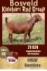 1X KALAHARI RED STUD OOI/EWE CMLW BOERDERY