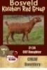 1X KALAHARI RED FLOCK OOI/EWE CMLW BOERDERY