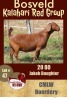 1X KALAHARI RED STUD OOI/EWE CMLW BOERDERY