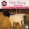 1X DORPER T5 OOI/EWE PINK SHEEP DORPERS - 3