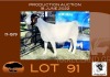 1X BOER GOAT STUD OOI/EWE OPPIEDAK BOERBOKSTOET