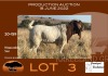 1X BOER GOAT STUD RAM GRONDEGOED BOERBOKSTOET