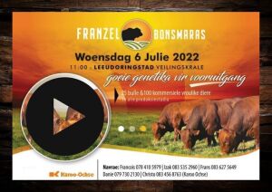 1X BONSMARA BULL - VZF190506 SP