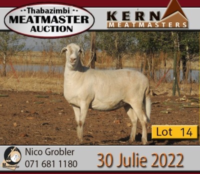 ONTTREK - 1X MEATMASTER OOI/EWE KERN MEATMASTERS