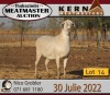 ONTTREK - 1X MEATMASTER OOI/EWE KERN MEATMASTERS - 2