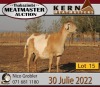 1X MEATMASTER OOI/EWE KERN MEATMASTERS (Pay per Animal to take all in lot) - 2