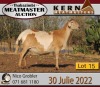 1X MEATMASTER OOI/EWE KERN MEATMASTERS (Pay per Animal to take all in lot) - 4