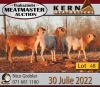 4X MEATMASTER OOI/EWE KERN MEATMASTERS (Pay per Animal to take all in lot)