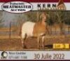 3X MEATMASTER OOI/EWE KERN MEATMASTERS (Pay per Animal to take all in lot) - 2