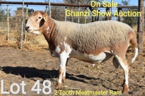 1 x MEAT MASTER RAM