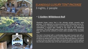 1X ELANDSVLEI LUXURY TENT PACKAGE DONATION FOR WSI