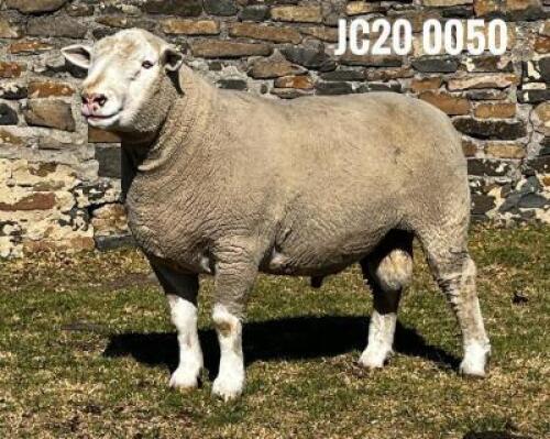 1X ILE DE FRANCE RAM JANCOR IDF STOET