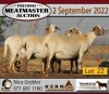 3+1X MEATMASTER OOI/EWE KERN MEATMASTERS (Pay per Animal to take all in lot) - 2