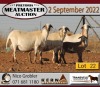 3+1X MEATMASTER OOI/EWE KERN MEATMASTERS (Pay per Animal to take all in lot) - 3