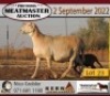 2X MEATMASTER OOI/EWE KERN MEATMASTERS (Pay per Animal to take all in lot) - 3