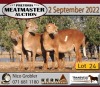 2X MEATMASTER OOI/EWE KERN MEATMASTERS (Pay per Animal to take all in lot) - 4