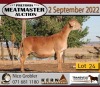 2X MEATMASTER OOI/EWE KERN MEATMASTERS (Pay per Animal to take all in lot) - 5