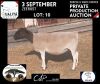 LOT 10 1X DORPER OOI/EWE VICTOR KRUGER- DORPERS