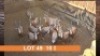 10X BLESBOK (PER STUK OM LOT TE NEEM)