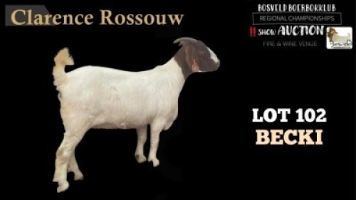 ONTREK OOI FLOCK CLARENCE ROSSOUW