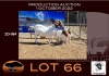 1+2X BOER GOAT STUD OOIE/EWE OPPIEDAK BOERBOKSTOET