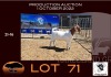 1X BOER GOAT FLOCK OOIE/EWE OPPIEDAK BOERBOKSTOET