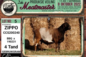 LOT 5 1X MEATMASTER ZIPPO RAM COLLEN BOERDERY