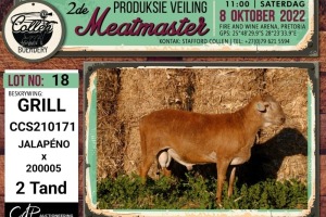 LOT 18 1X MEATMASTER GRILL RAM COLLEN BOERDERY