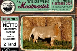 LOT 30B 1X MEATMASTER NETTO RAM COLLEN BOERDERY