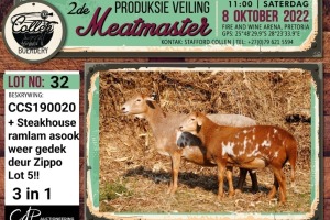 LOT 32 1+1X MEATMASTER OOI/EWE (3-IN1) COLLEN BOERDERY