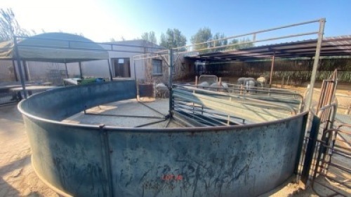 LOT 38 1x Sheep circular force pen complete