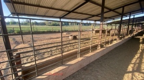LOT 26 9x Goat hurdle panel - 1850 long x 1200 mm high (Betaal per stuk om lot te neem)