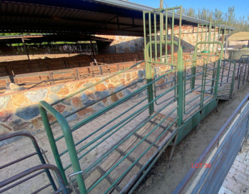 LOT 39 1x Elevated sheep handler with two ramps