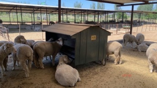 LOT 53 1x Self feeder double sided
