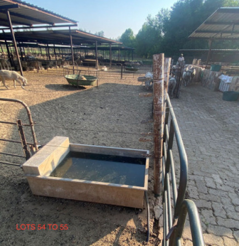 LOT 55 6x Stainless steel double water troughs (Betaal per stuk om lot te neem)